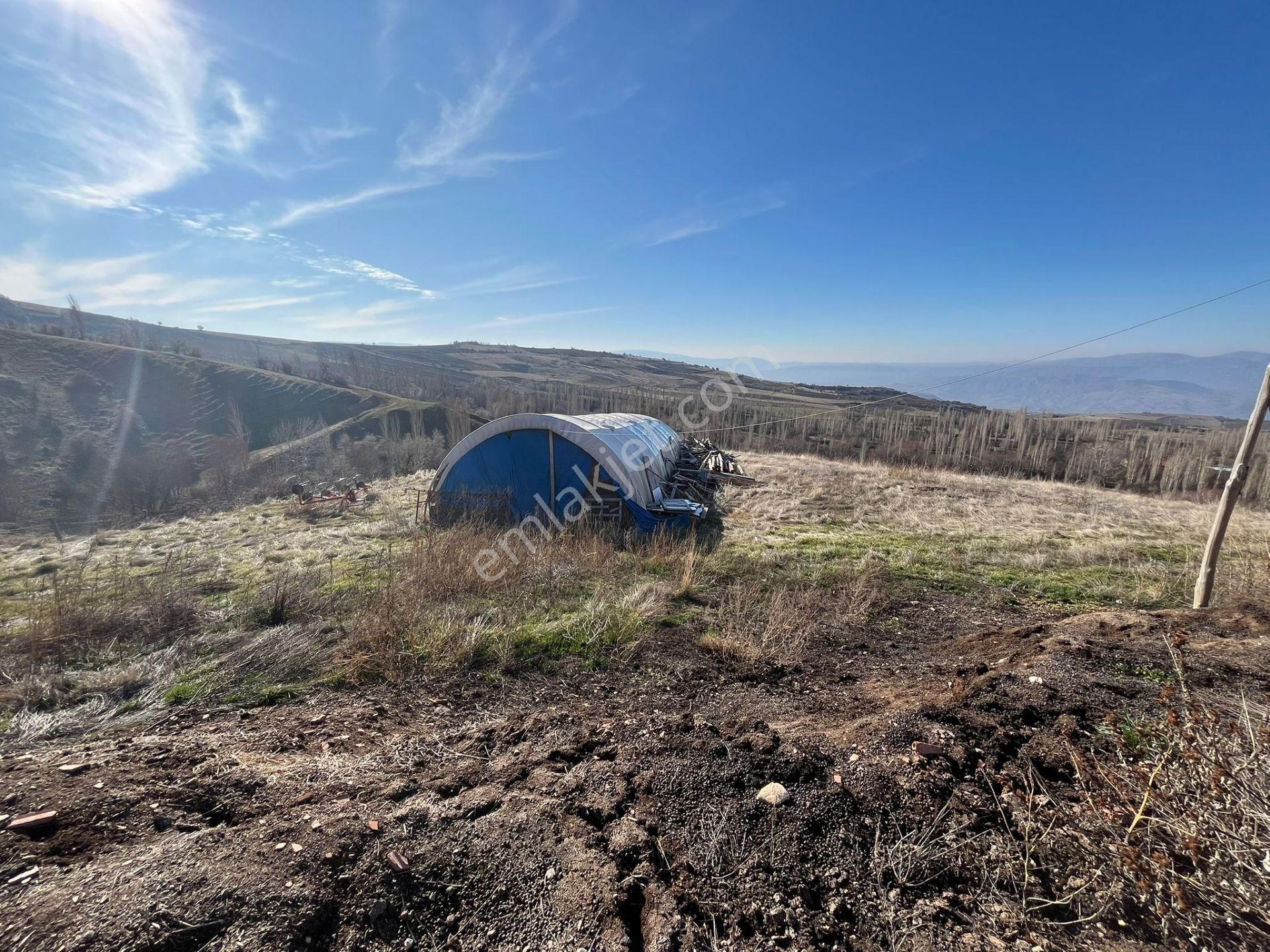 Satılık Çiftlik ...çoruma 28 Km Mesafede Çobandivan Köyünde - Görsel 21