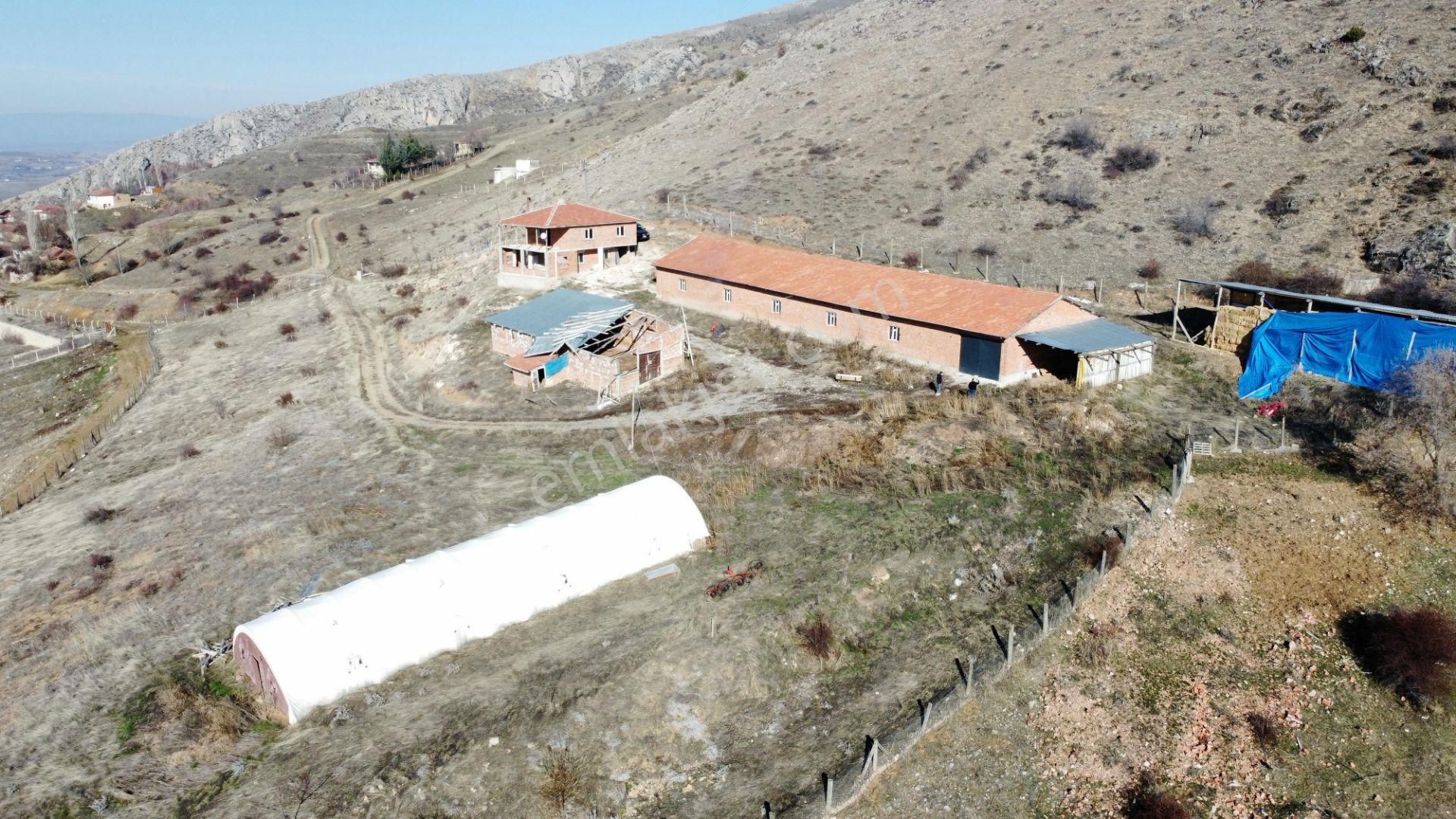 Satılık Çiftlik ...çoruma 28 Km Mesafede Çobandivan Köyünde - Görsel 6