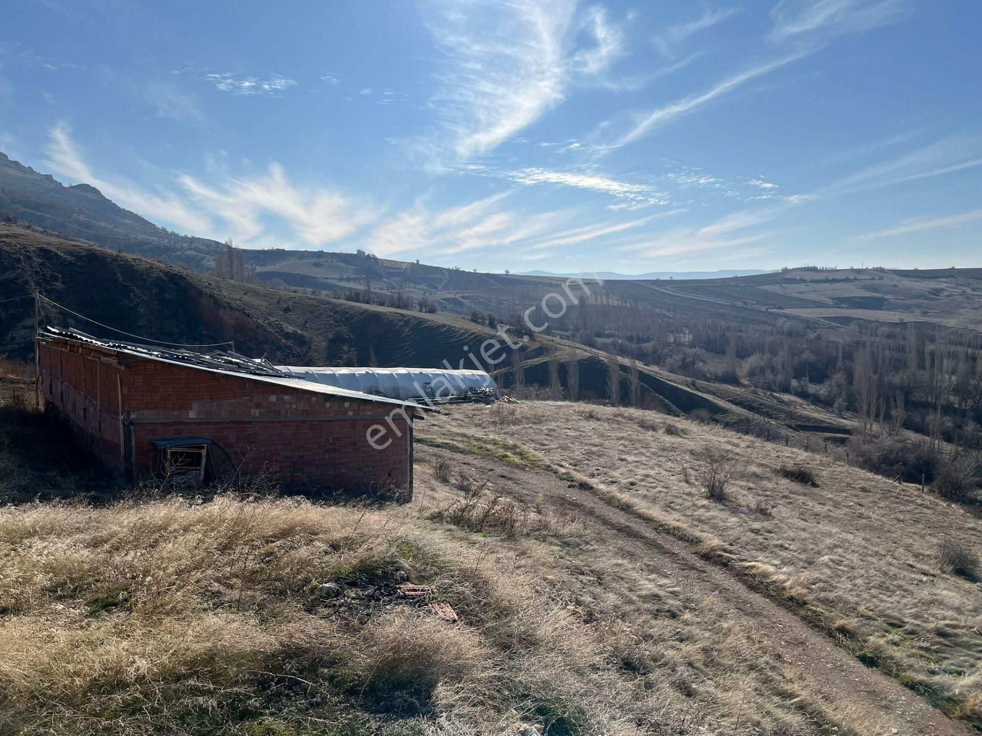 Satılık Çiftlik ...çoruma 28 Km Mesafede Çobandivan Köyünde - Görsel 27