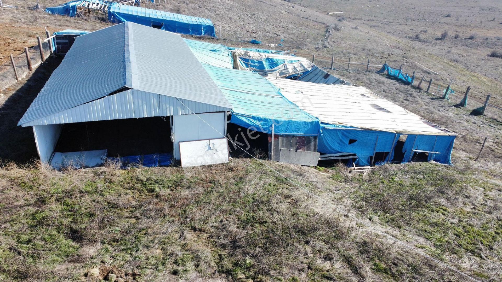 Satılık Çiftlik ...çoruma 28 Km Mesafede Çobandivan Köyünde - Görsel 11