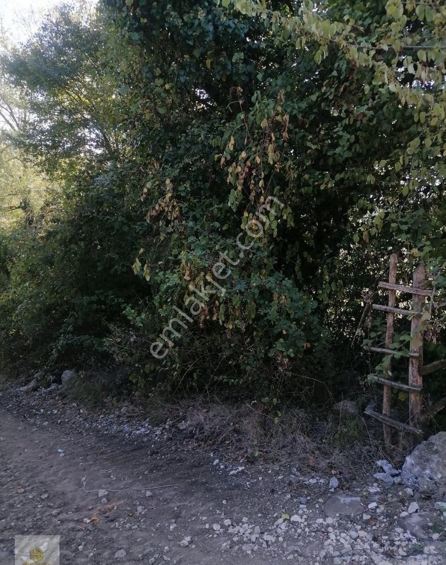 Kocaeli Kandıra Doğancılı Da Orman Manzaralı Satılık Tarla - Görsel 4