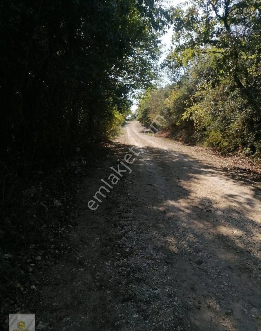 Kocaeli Kandıra Doğancılı Da Orman Manzaralı Satılık Tarla - Görsel 5