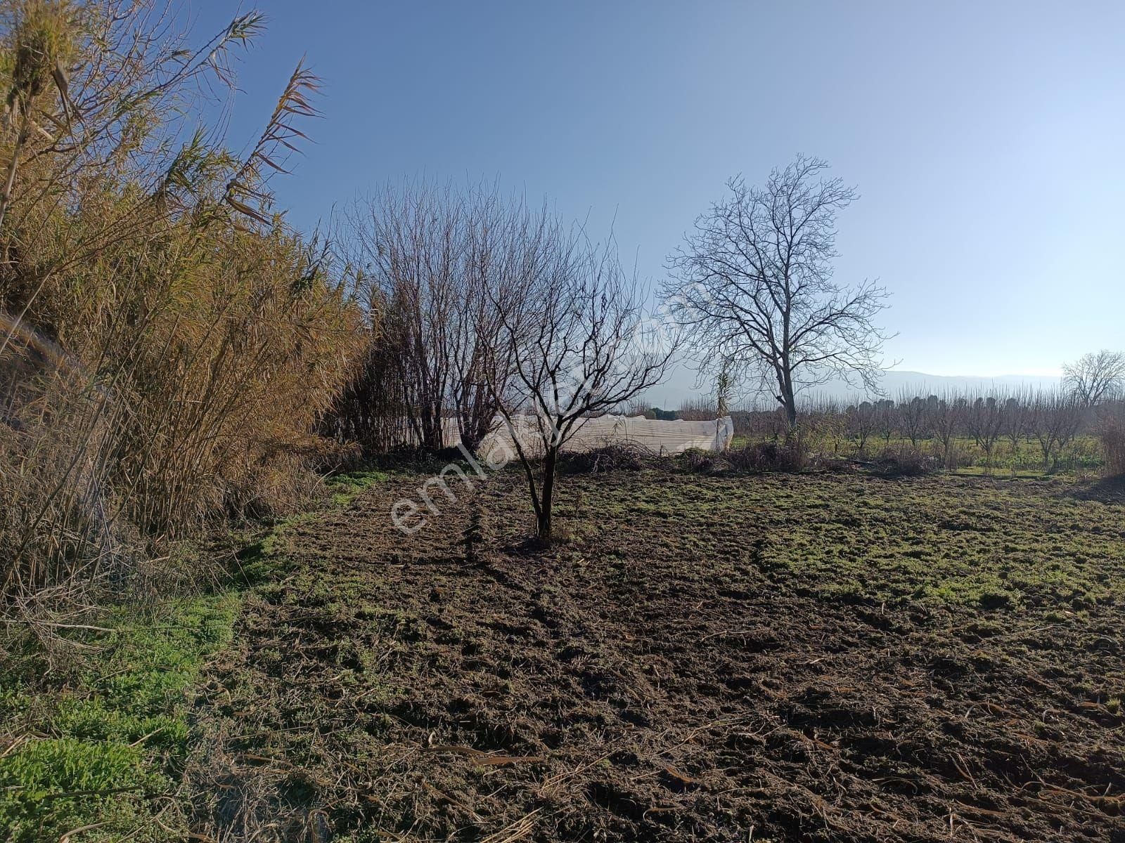 İsabeylide 6747 M2 Satıkık Arsa - Görsel 17