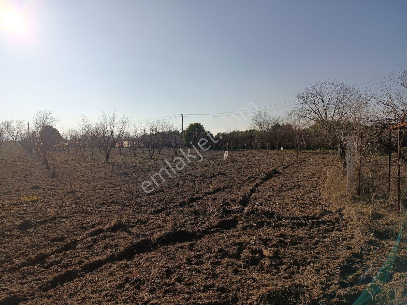 İsabeylide 6747 M2 Satıkık Arsa - Görsel 12