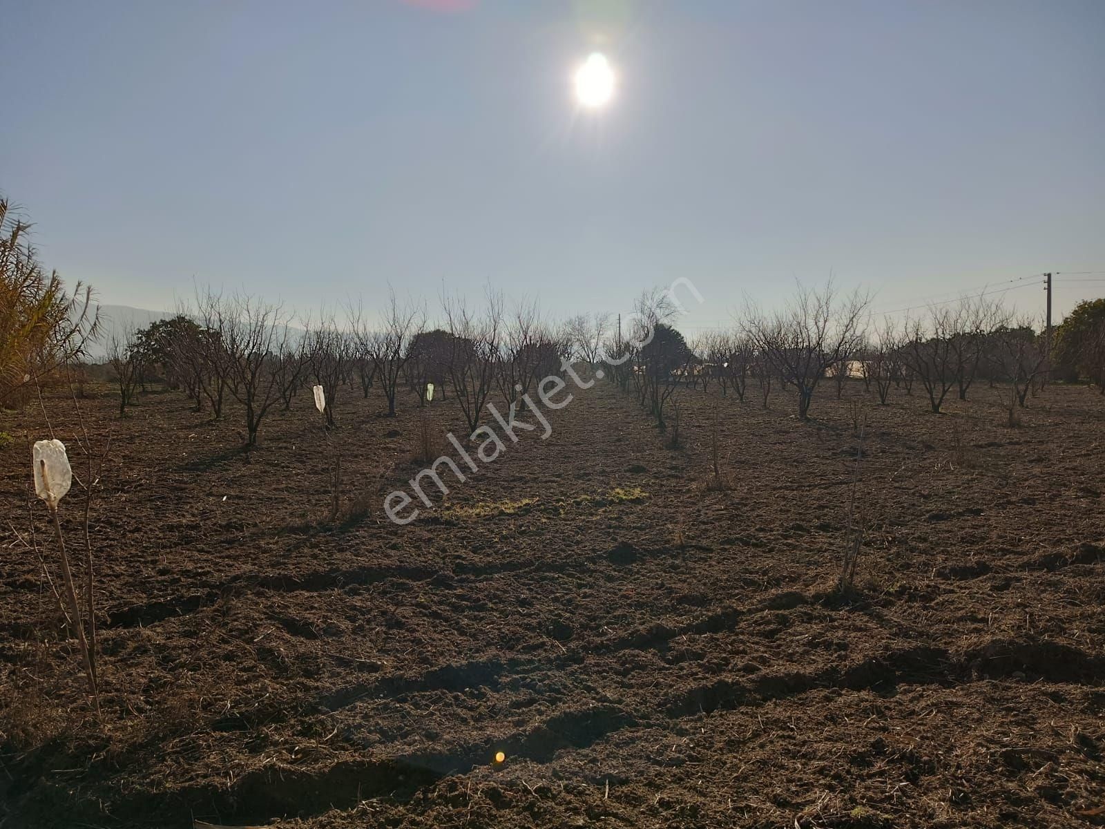 İsabeylide 6747 M2 Satıkık Arsa - Görsel 11