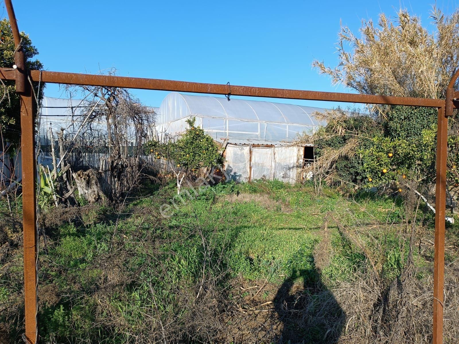 İsabeylide 6747 M2 Satıkık Arsa - Görsel 8