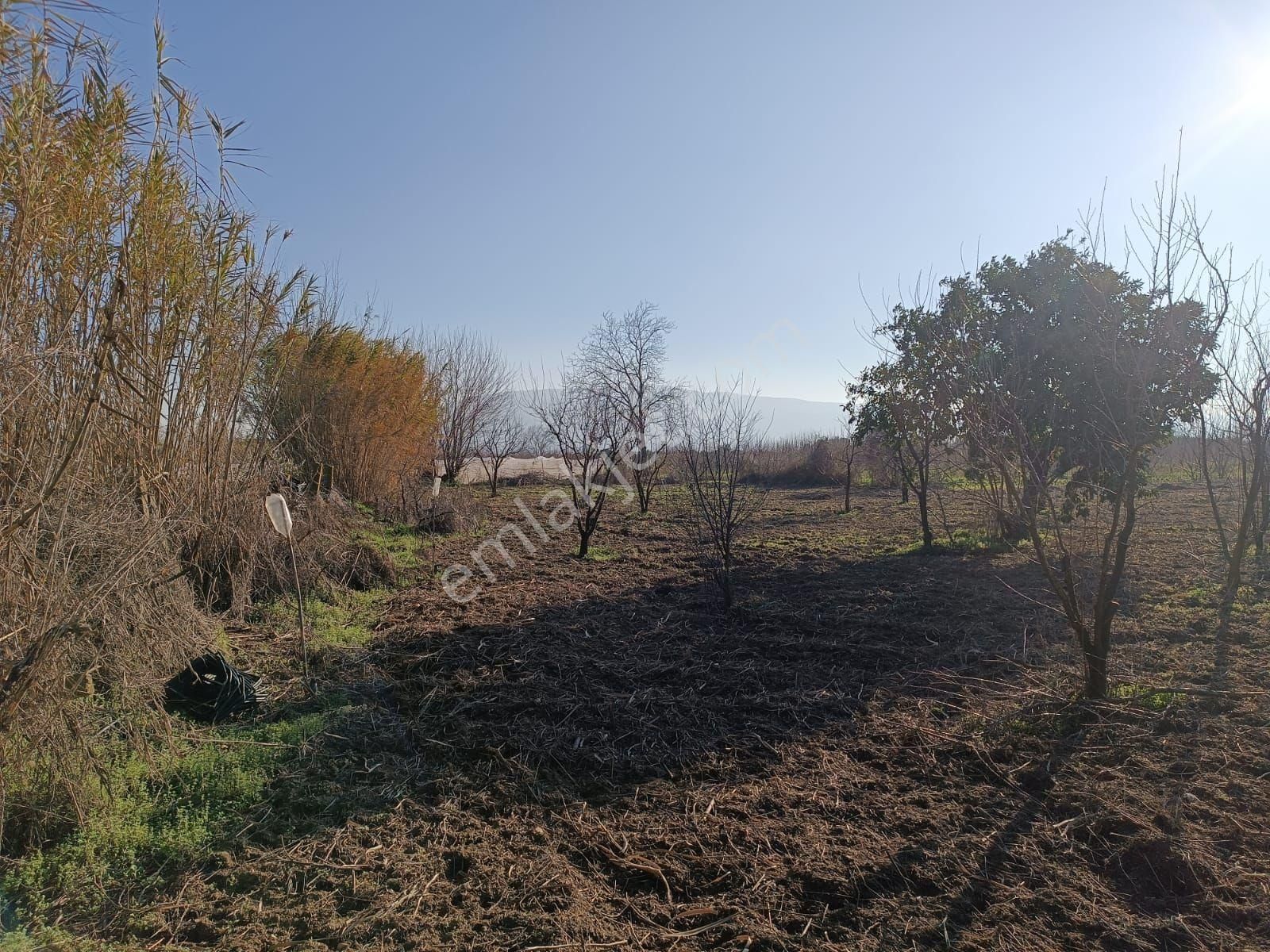 İsabeylide 6747 M2 Satıkık Arsa - Görsel 16