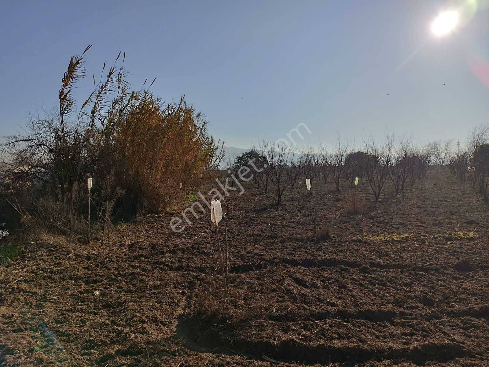 İsabeylide 6747 M2 Satıkık Arsa - Görsel 10