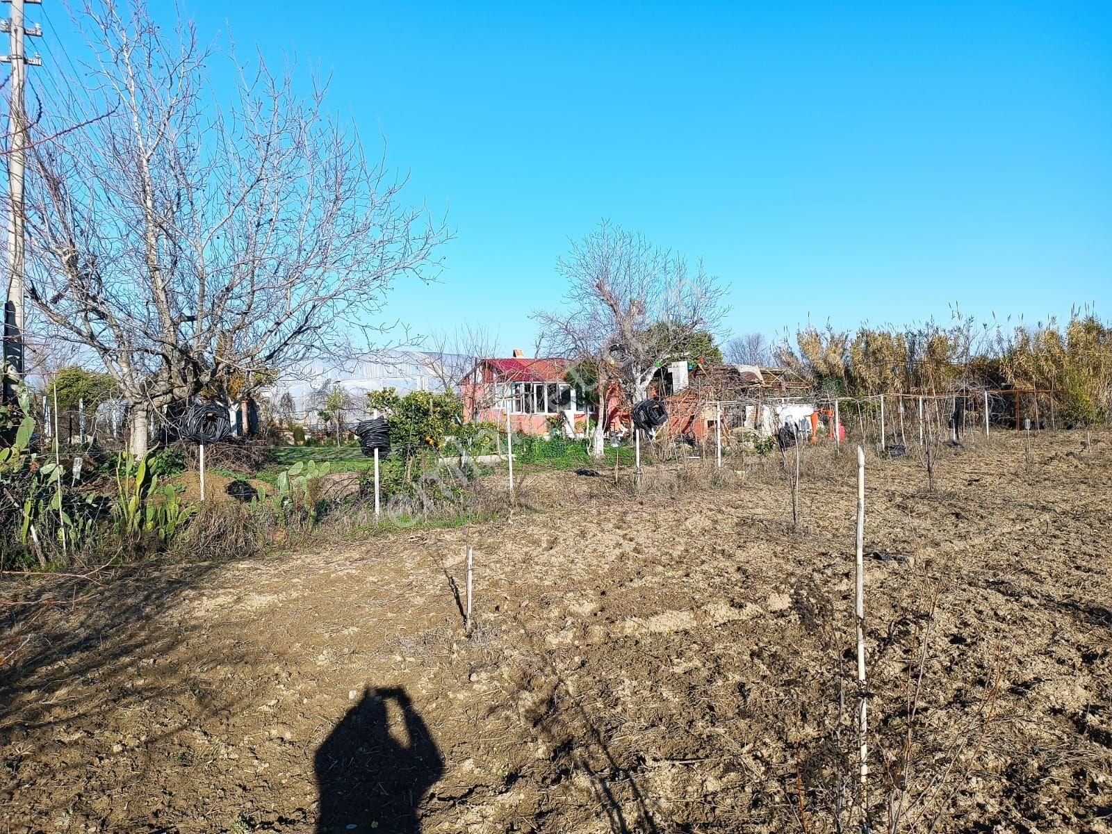 İsabeylide 6747 M2 Satıkık Arsa - Görsel 25