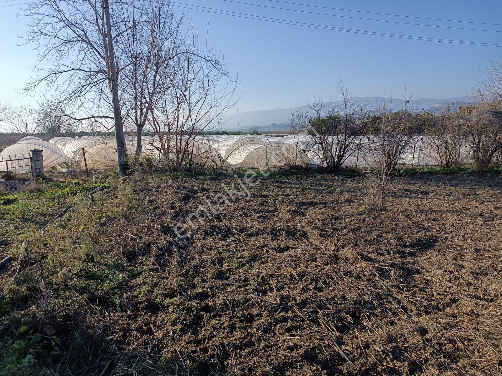 İsabeylide 6747 M2 Satıkık Arsa - Görsel 19