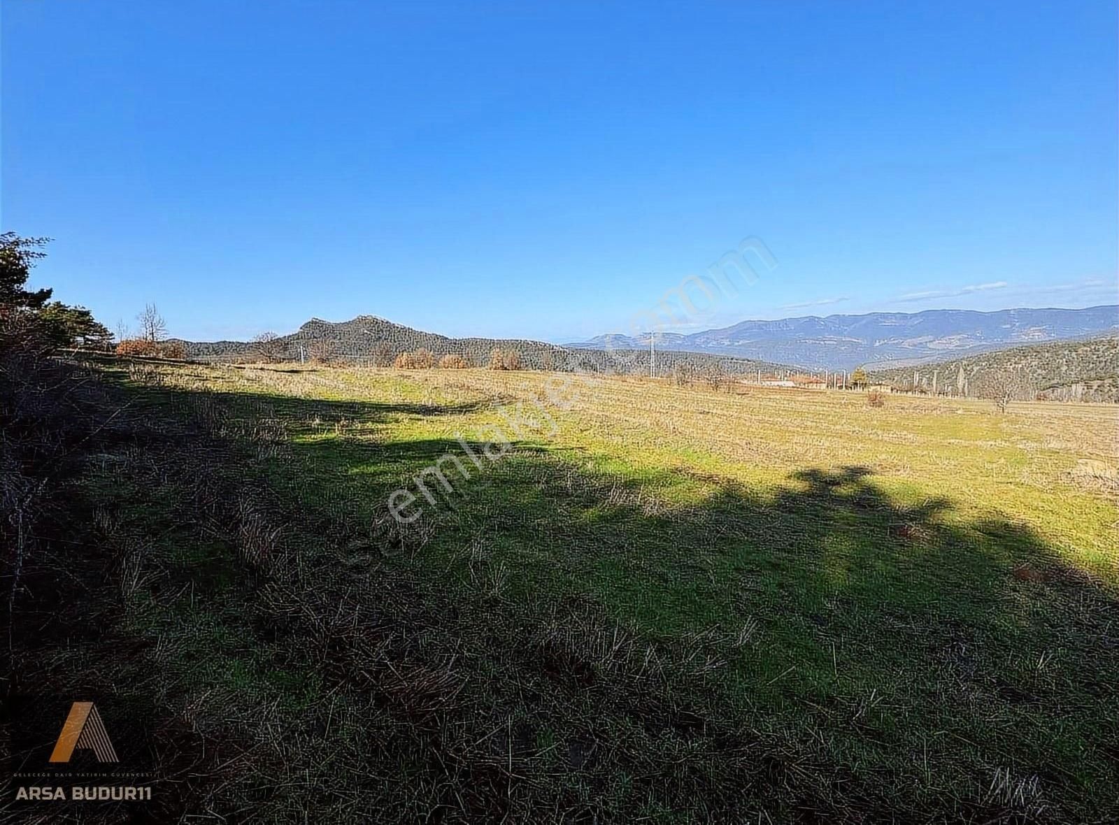 Gölpazarı Taşçıahiler Köyü (Seyfiler) Satılık Tarla Köyün Dibinde Satılık Tarla