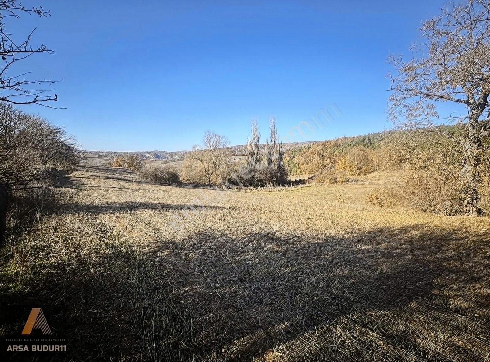 Pazaryeri Yüzbaşı Satılık Tarla Çiftlik Bağ Evi Yapımına Uygun Kupon Arazi