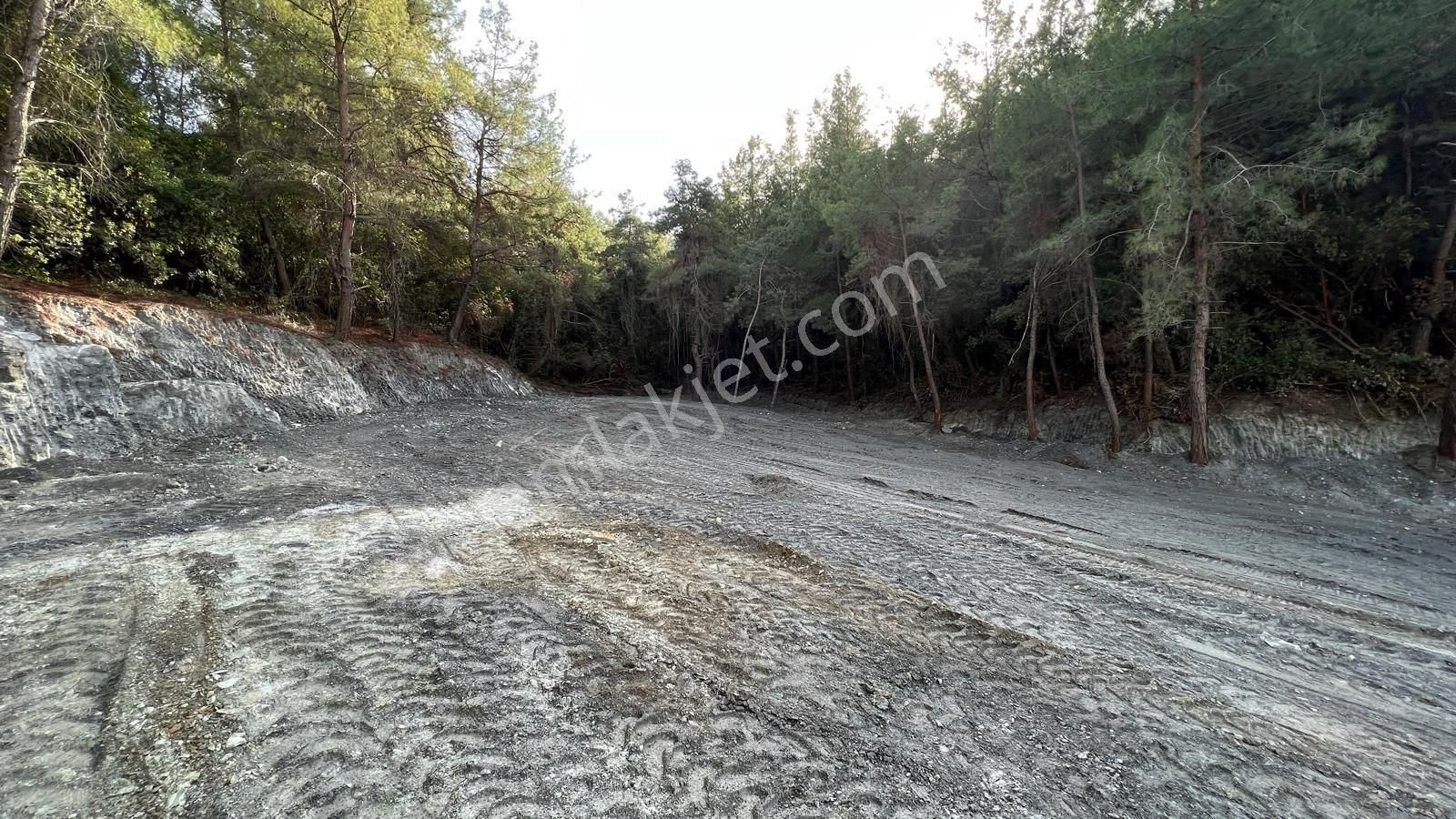 Kuşadası Kirazlı Köy Yakını Yatırımlık Satılık Tarla - Görsel 8