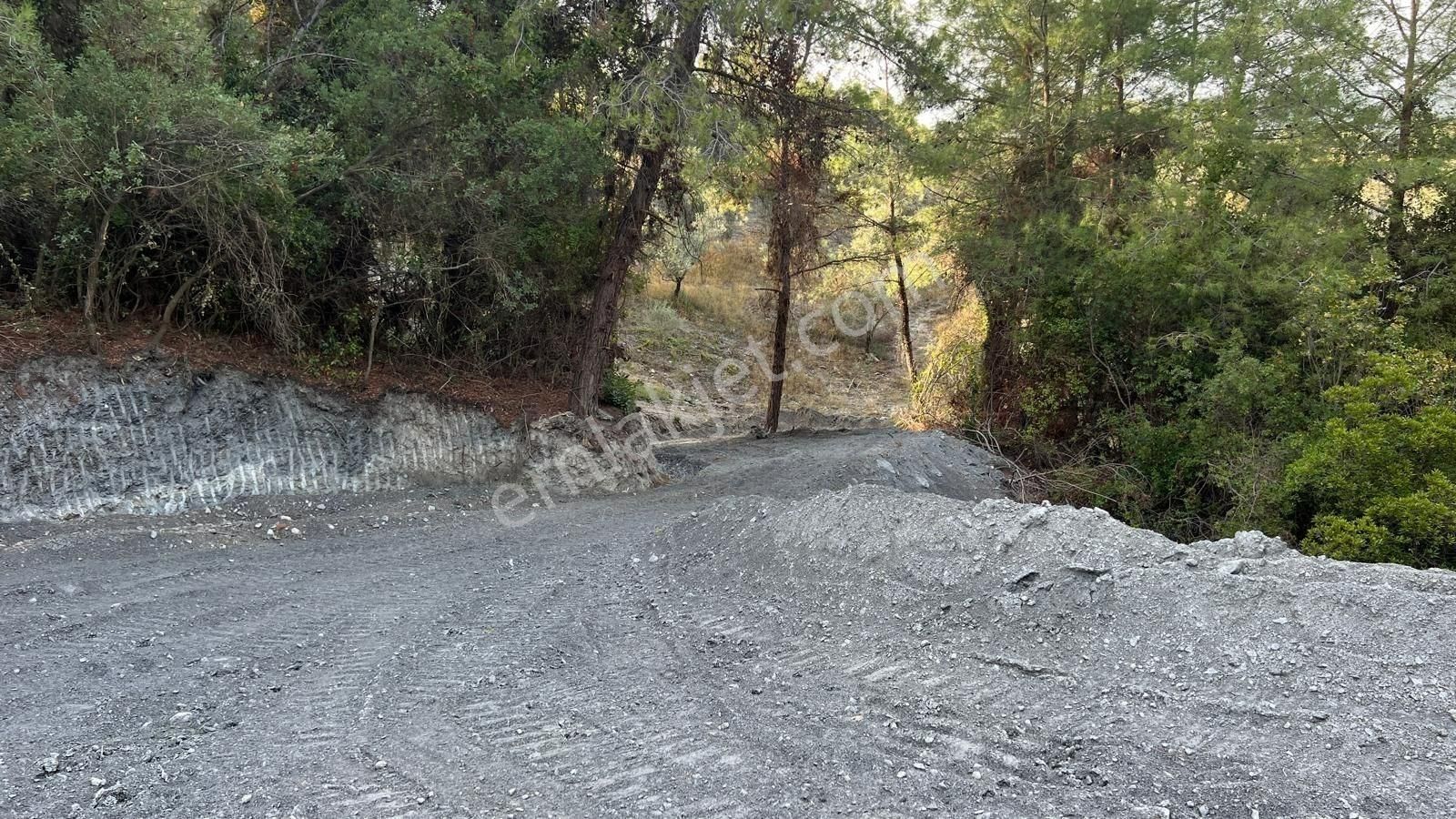 Kuşadası Kirazlı Köy Yakını Yatırımlık Satılık Tarla - Görsel 4