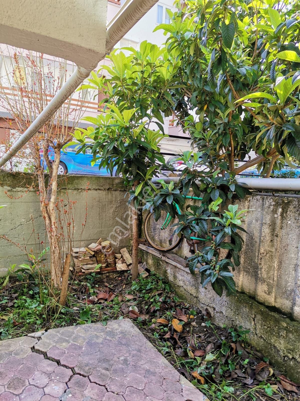 Mudanya Cadde Üzeri İsyerine Uygun Köşe Bahçeli Daire Bahçe Kat - Görsel 8