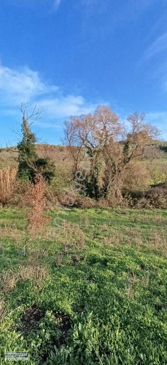 Osmangazi Dürdane Satılık Tarla Dürdane De Resmi Yola Cephe Tek Tapu Satılık Tarla