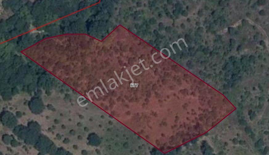 Çanakkale Çan Bostandere'de Satılık Tarla - Görsel 3