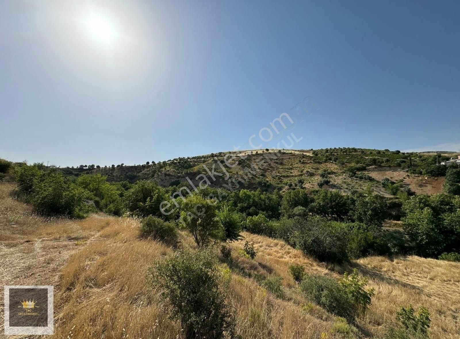 Adıyaman Merkez Örenli Satılık Tarla Taç Gm Arzudan Yeni Toki Arkası Satılık Arsa