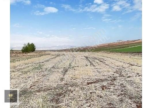 Adıyaman Merkez Yarmakaya Köyü Satılık Tarla Taç Gm Arzudan Yarmakaya Köyünde Satılık Tarla