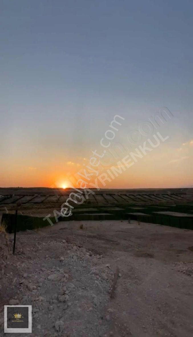 Adıyaman Merkez Paşamezrası Köyü Satılık Bağ & Bahçe Taç Gm Mustafa'dan Satılık Bağ Yeri