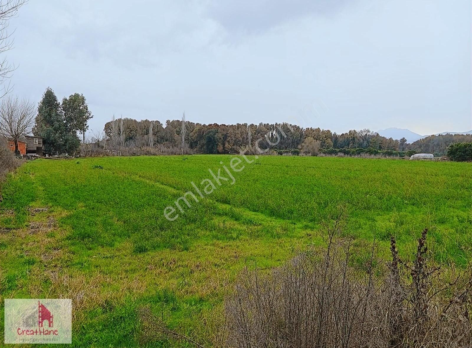 Yetkili Ofis - Toparlar'da 11.750 M2 Köyiçi İmarlı Arsa - Görsel 4