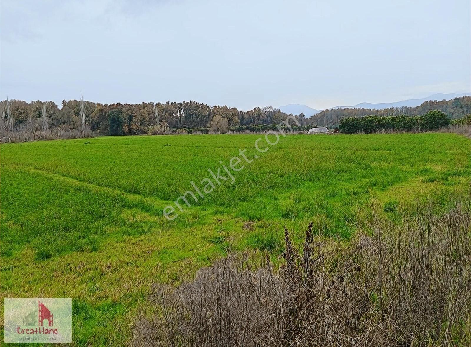 Yetkili Ofis - Toparlar'da 11.750 M2 Köyiçi İmarlı Arsa - Görsel 2