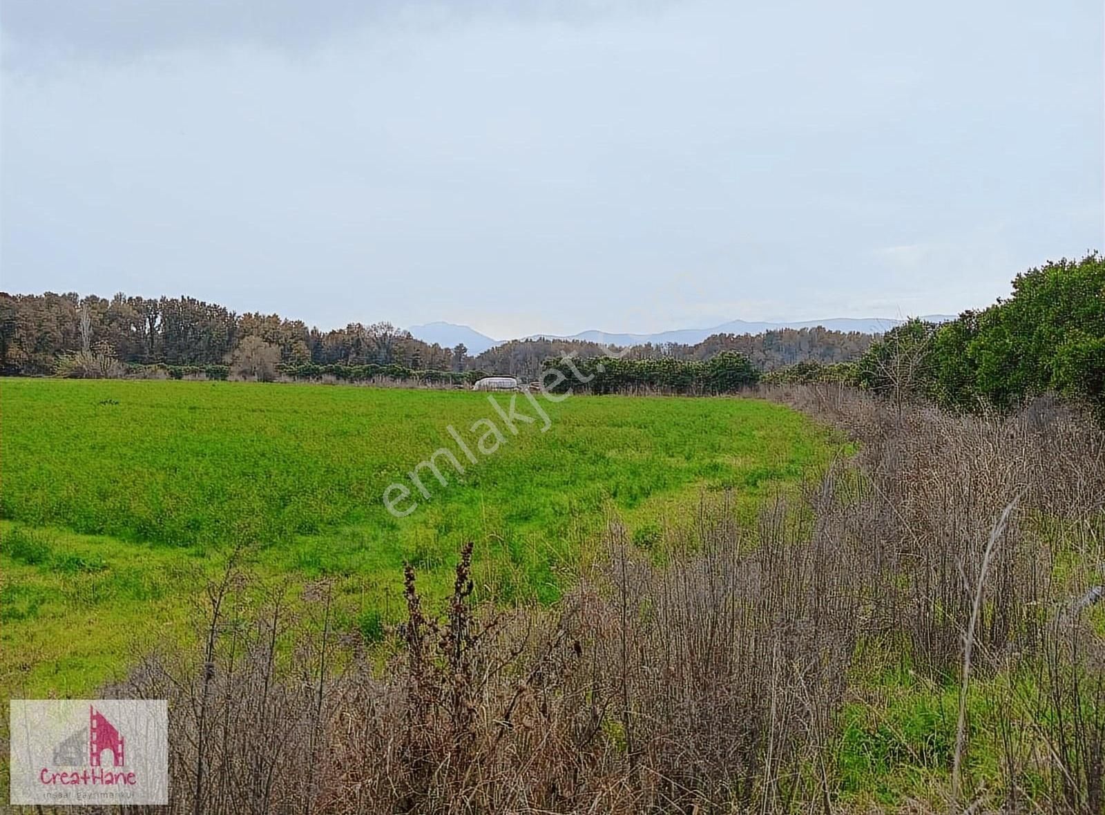 Yetkili Ofis - Toparlar'da 11.750 M2 Köyiçi İmarlı Arsa - Görsel 3