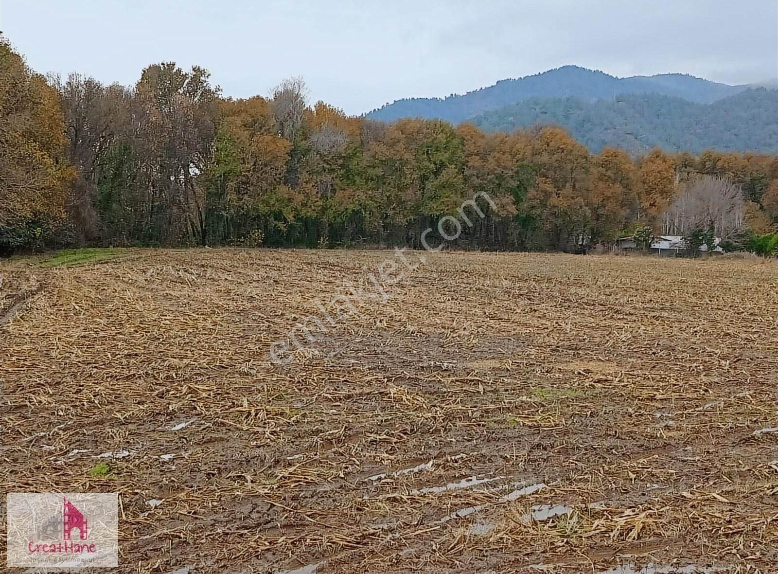 Köyceğiz Toparlar Satılık Konut İmarlı Yetkili Ofis - Toparlar'da 12.750 M2 Köyiçi İmarlı Arsa