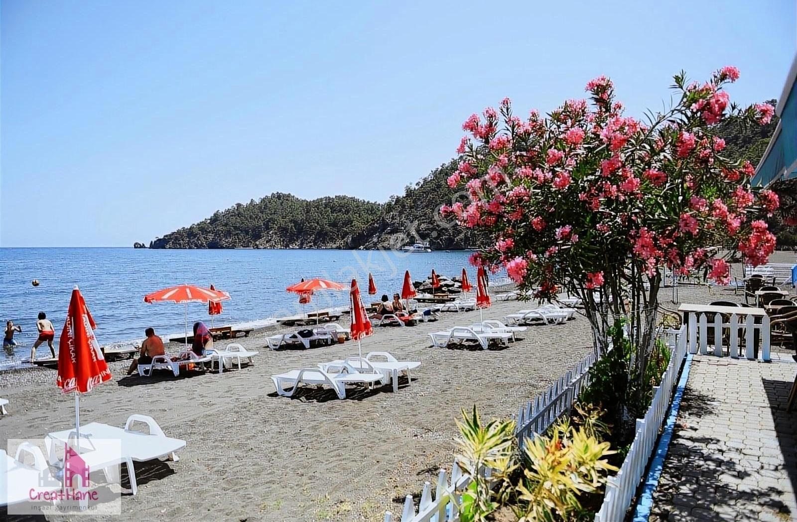 Yetkili Ofis - İnlicede 40 Dönüm Zeytinlik - Görsel 3