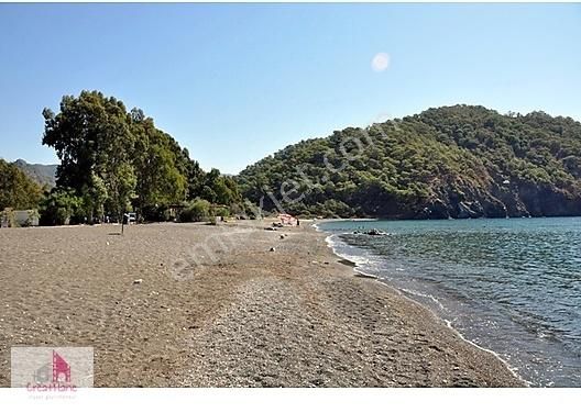 Yetkili Ofis - İnlicede 40 Dönüm Zeytinlik - Görsel 5