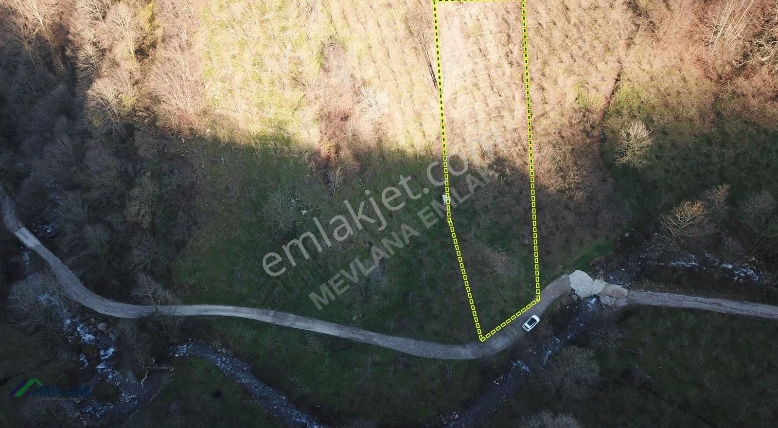 Mevlana Emlaktan Taşburun'da 1948 M² Fındık Bahçesi - Görsel 3