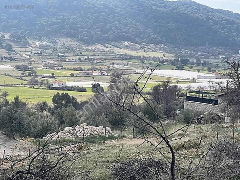 Kaş Sarıbelen Satılık Tarla Oğuzlar Emlak'tan Sarıbelen'de Yatırımlık 2510,99 M2 Arazi