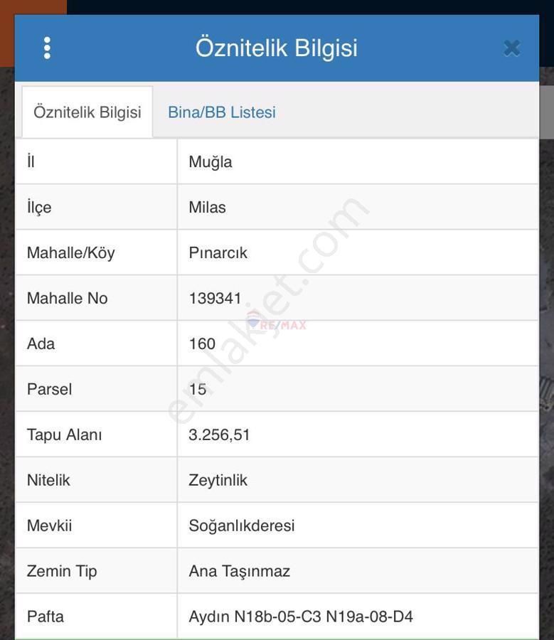 Milas Pınarcık Satılık Zeytinlik Pınarcık'da Anayola 2. Parsel Yatırımlık Zeytinlik Fırsatı