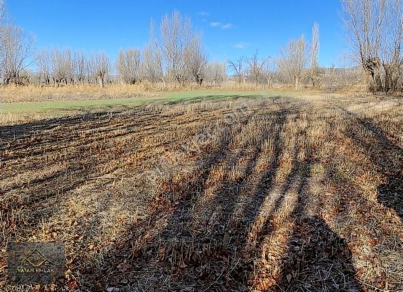 Kalecik Kınık Satılık Tarla Bilgen Vatan'dan Kınık Merkez'de Sulak Alanda Müthiş Arsa