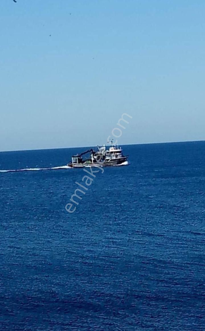 Perşembe Caytepe 10542m2 İmarlı Bahçe - Görsel 5