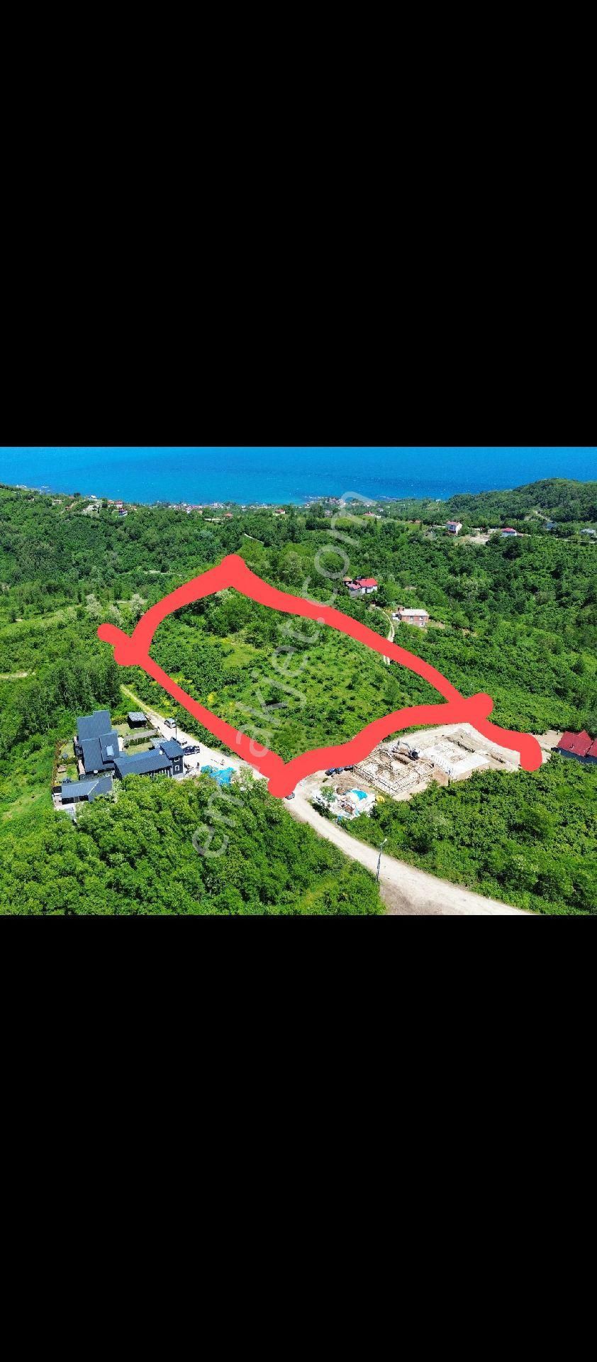 Perşembe Caytepe 10542m2 İmarlı Bahçe