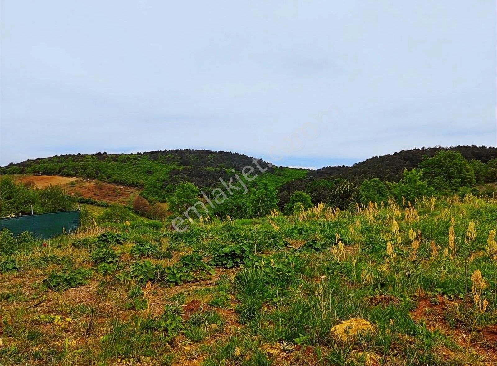 Kestel Ümitalan Satılık Tarla Kestel Ümit Alanda Satılık Tarla Hobi Bahçesine Uygun