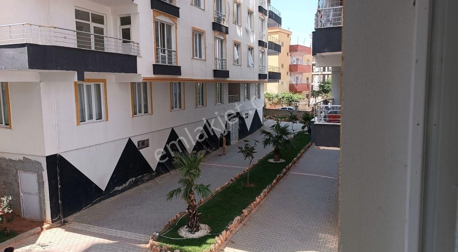 Siirt Merkez Kooperatif Kiralık Daire Cep D Gayrimenkulden Site İçerisinde Boş 1+1