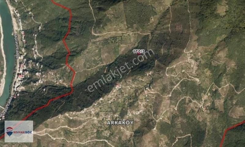 Borçka Arkaköy Köyü (Arkaköy Merkez) Satılık Bağ & Bahçe Artvin Borçka 746m2 Muhteşem Doğa İçinde Tek Tapu Fındık Bahçesi