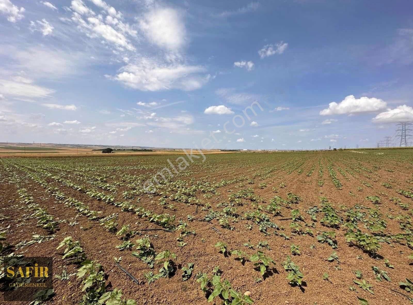 Safir'den Gümüşyaka'da İmar Sınırına Yakın 3250 Satılık Tarla - Görsel 6