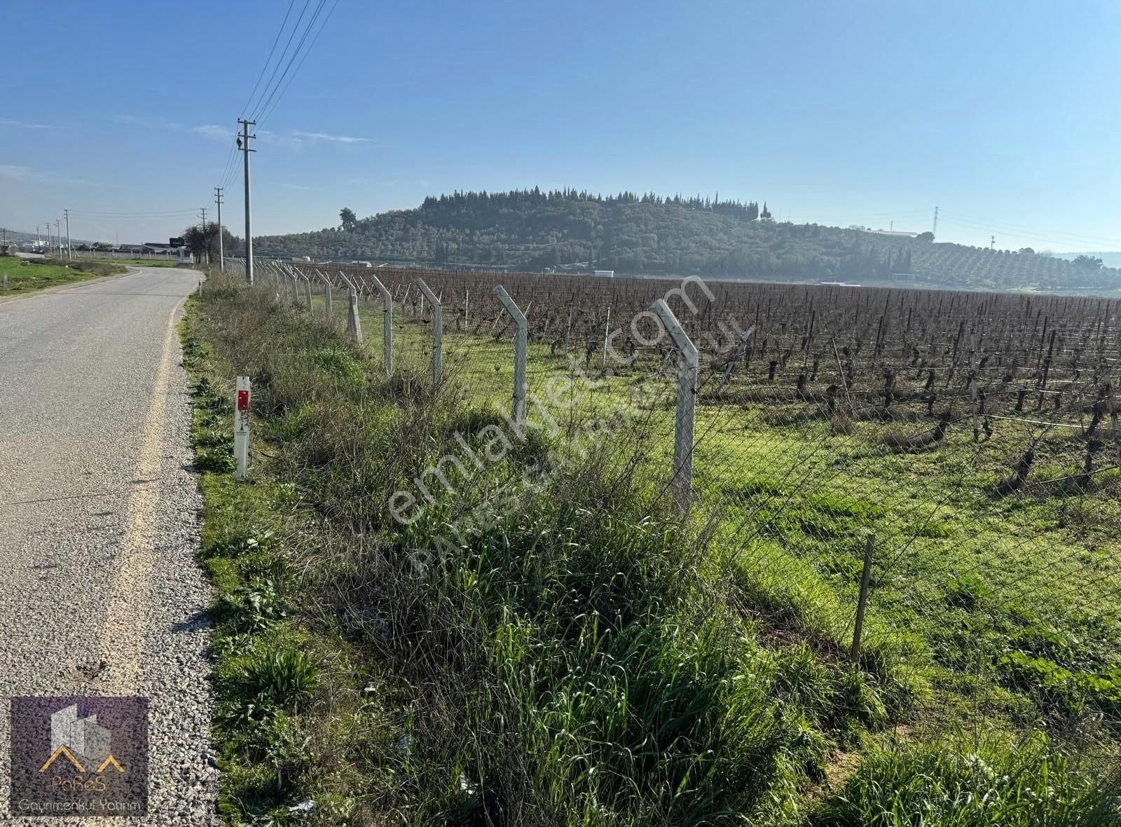 Menderes Gölcükler Satılık Tarla İzmir Menderes'te Gölcükler Yol Cepheli 25 Bin M2 Tarla