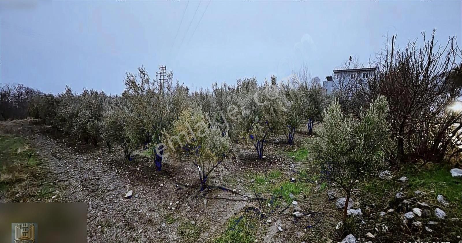 Honaz Kızılyer Satılık Konut İmarlı Denizli Honaz Kızılyer De Satılık Arsa