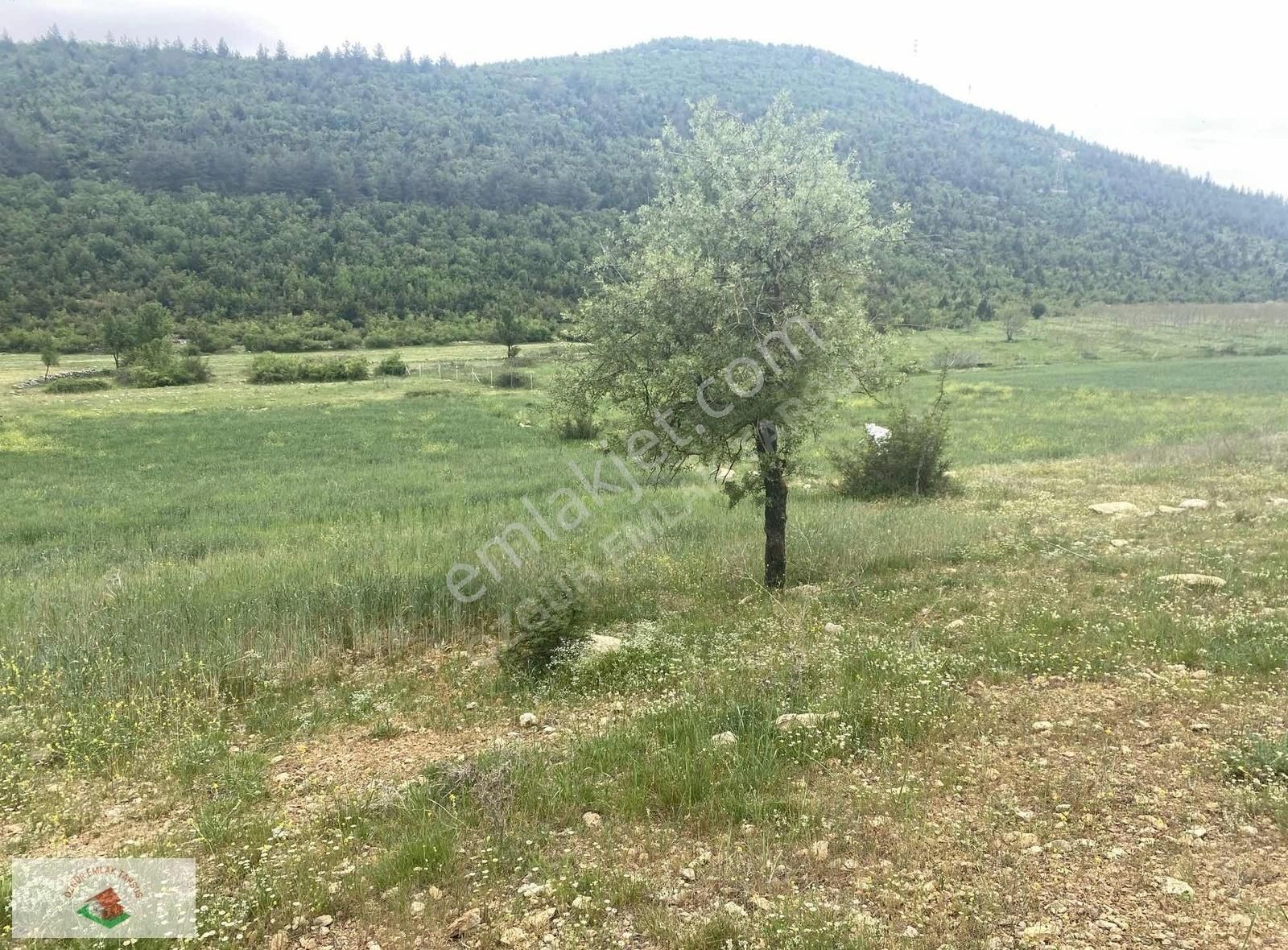 Çamlıyayla Giden Köyü Satılık Arsa Tek Tapu - Görsel 8