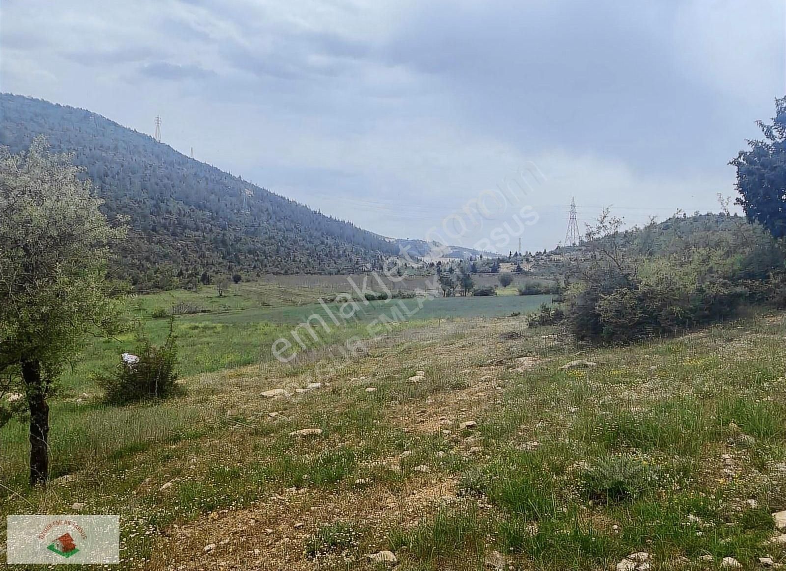 Çamlıyayla Giden Köyü Satılık Arsa Tek Tapu - Görsel 5