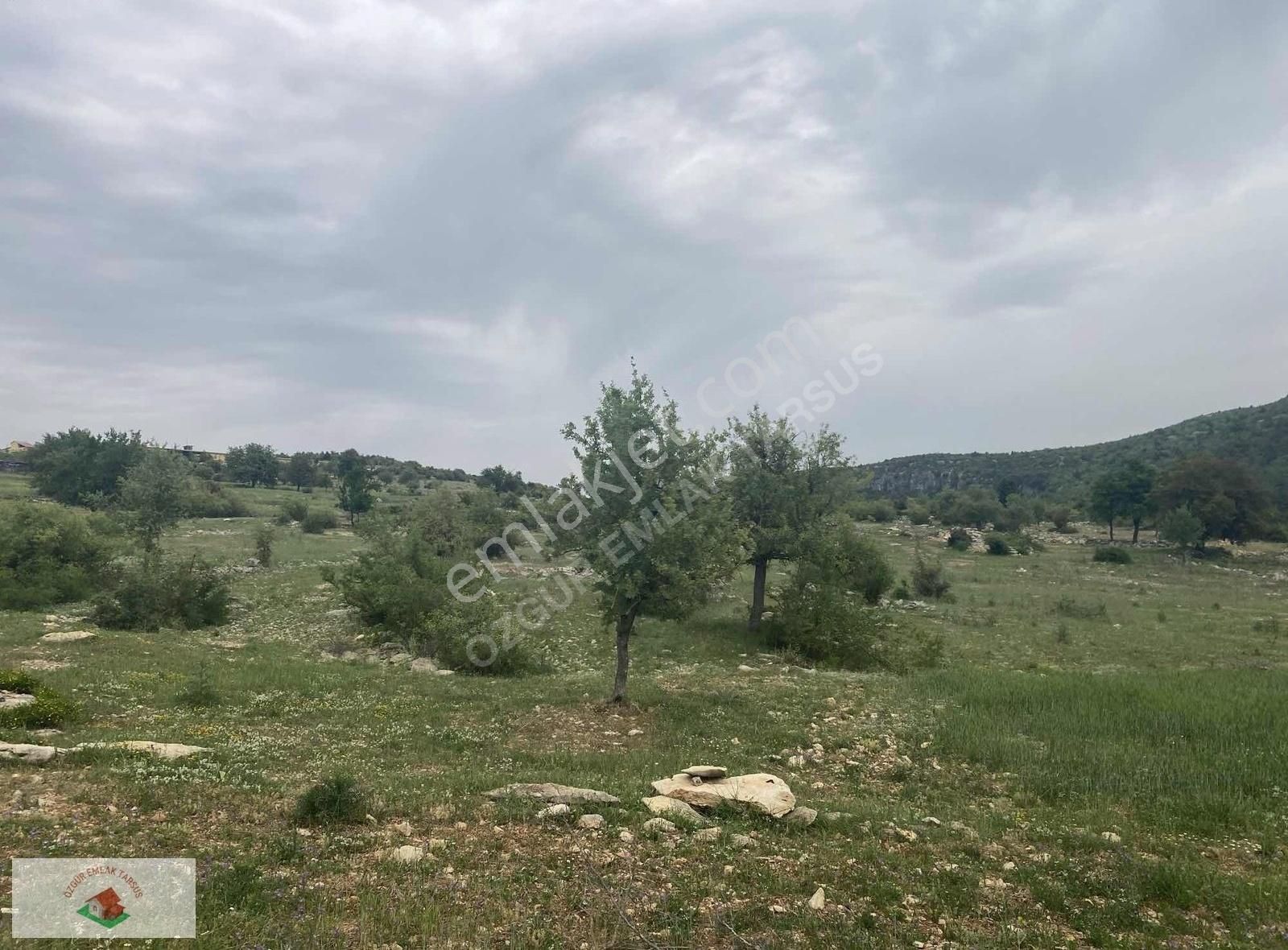 Çamlıyayla Giden Köyü Satılık Arsa Tek Tapu - Görsel 4