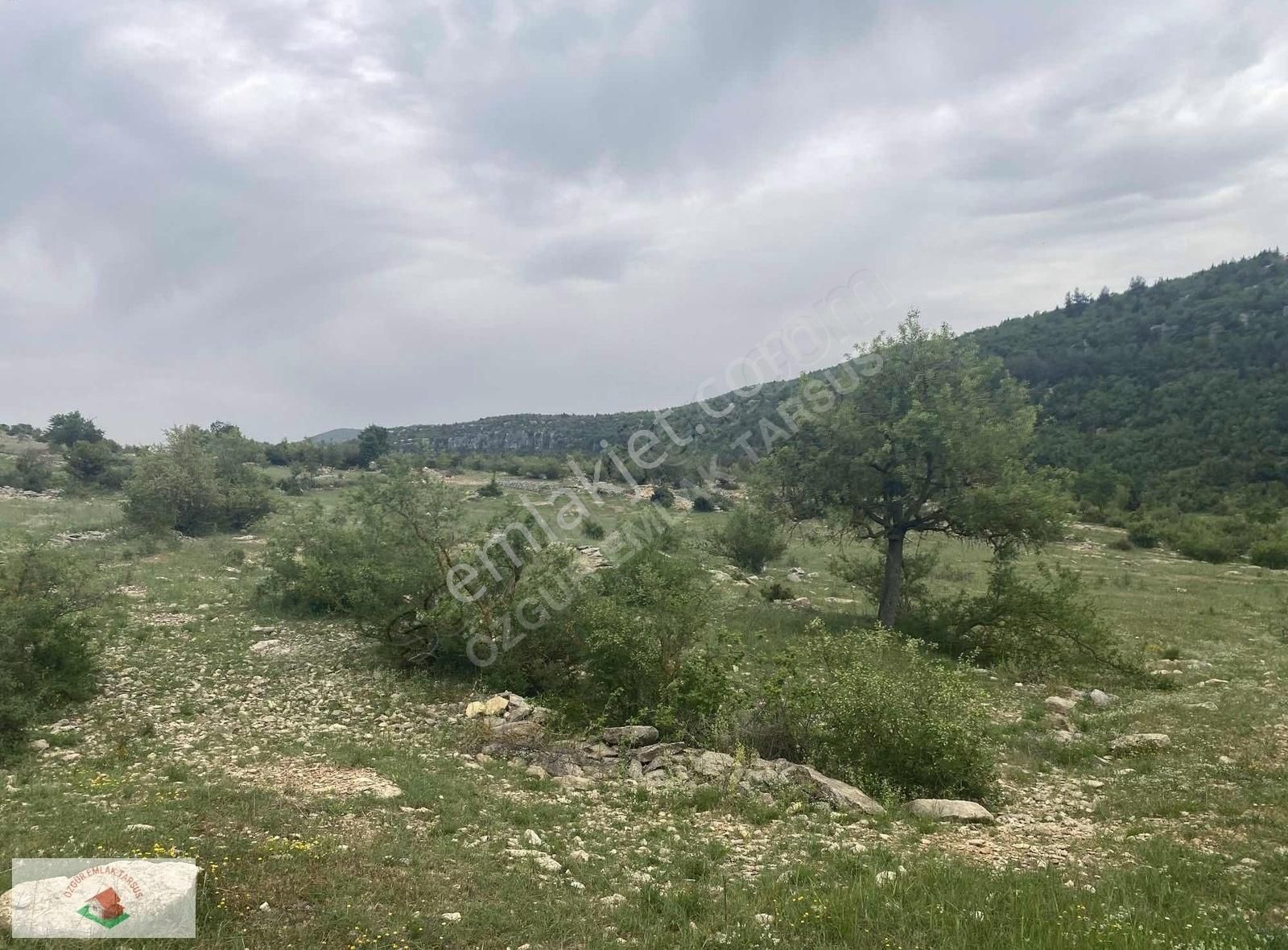 Çamlıyayla Giden Köyü Satılık Arsa Tek Tapu - Görsel 6