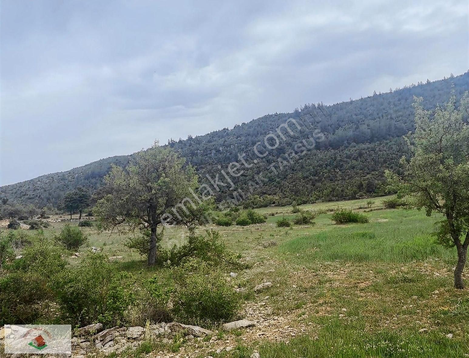 Çamlıyayla Giden Satılık Muhtelif Arsa Çamlıyayla Giden Köyü Satılık Arsa Tek Tapu