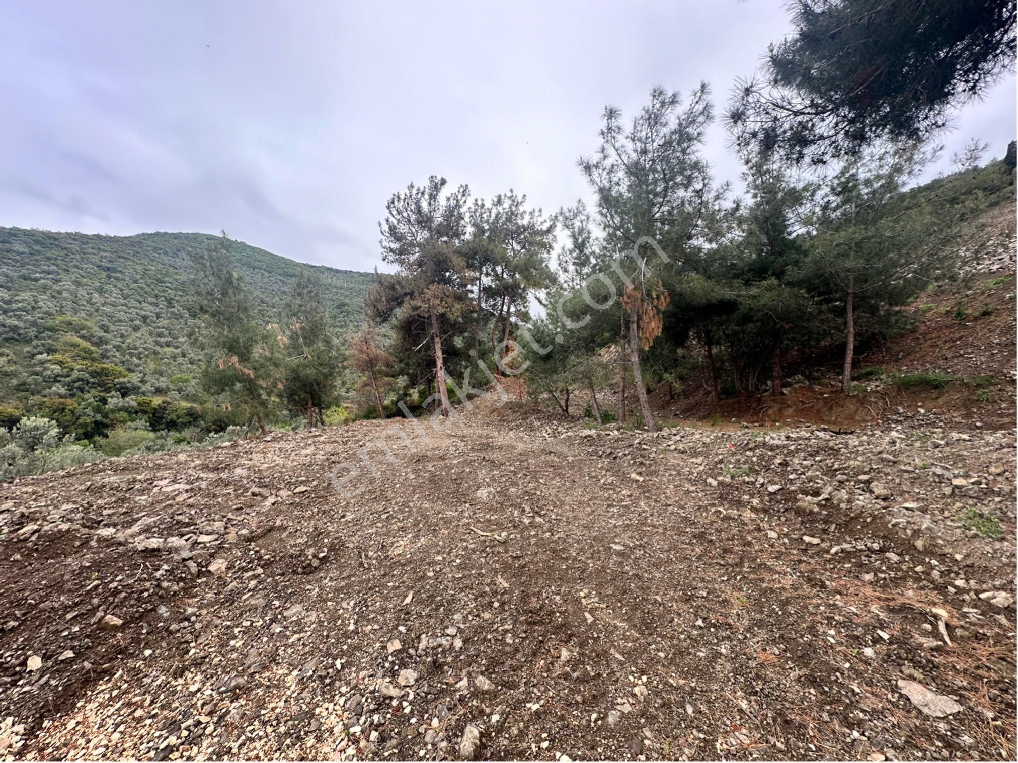 Bursa Mudanya Deniz Manzara Anayol Üstü Caravanpark - Görsel 4
