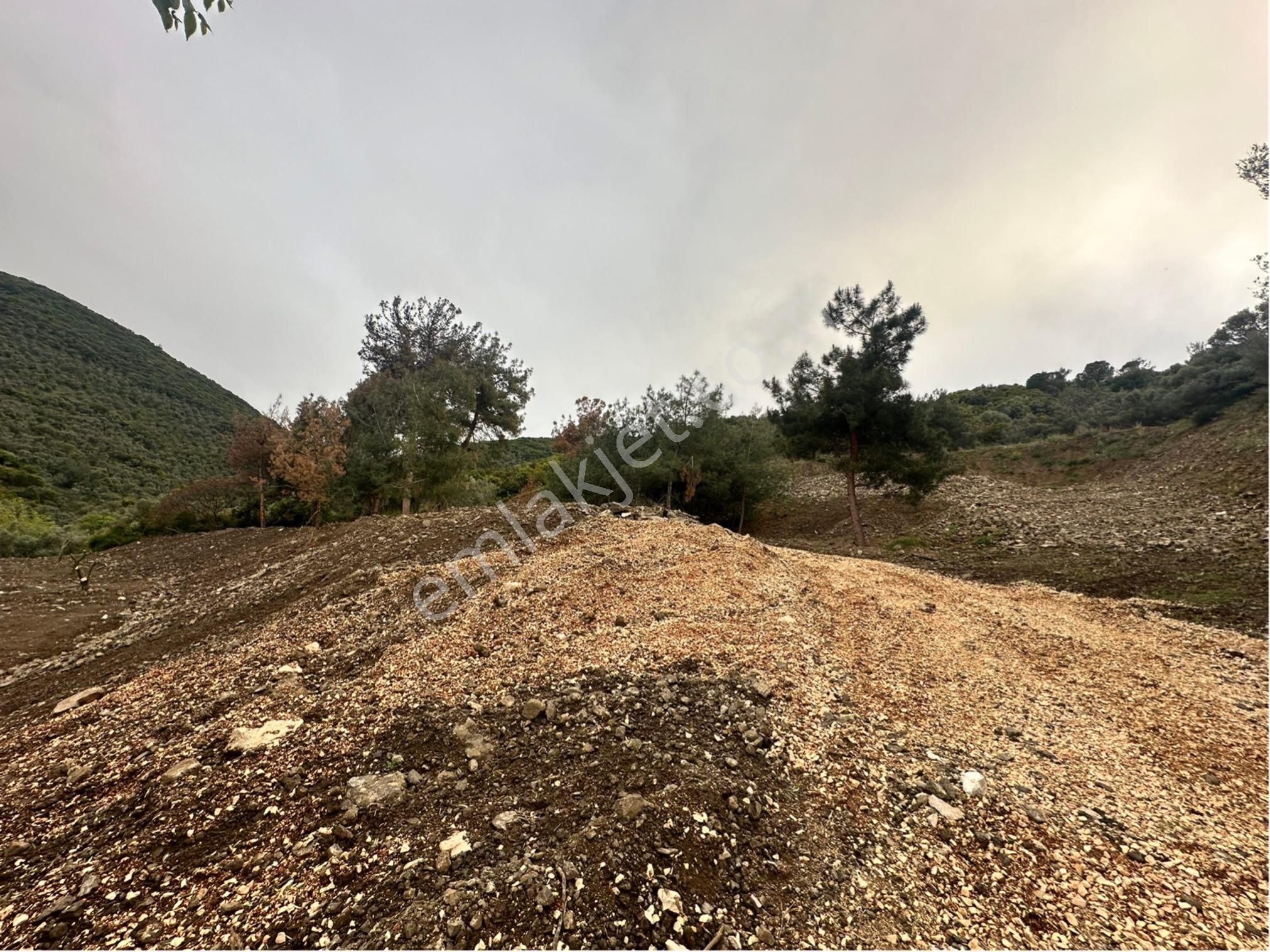 Bursa Mudanya Deniz Manzara Anayol Üstü Caravanpark - Görsel 7
