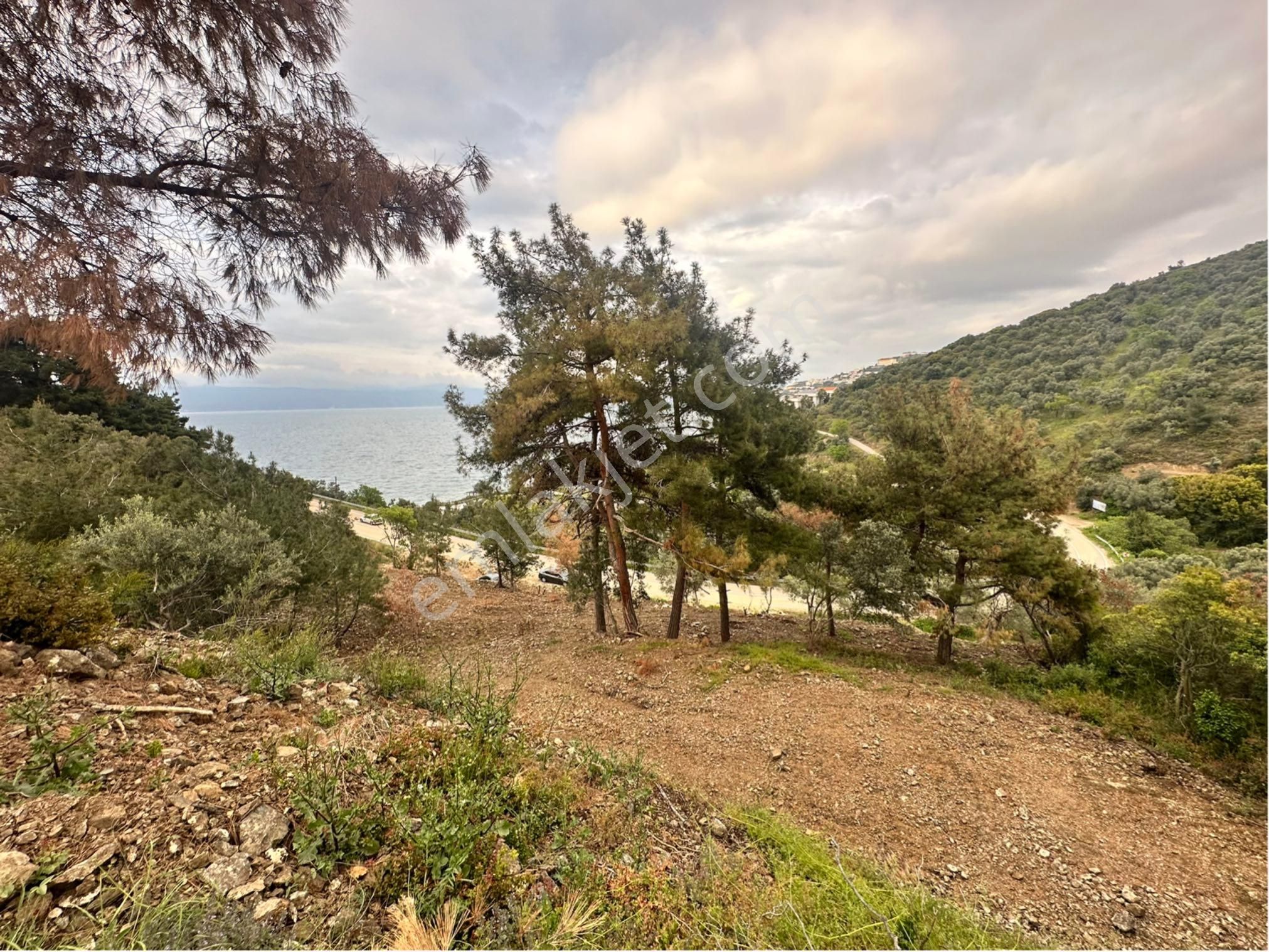 Bursa Mudanya Deniz Manzara Anayol Üstü Caravanpark - Görsel 2